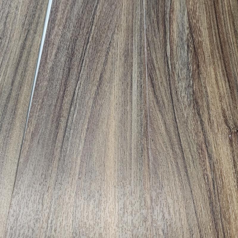 Primary Image of Classic Beech Dark Brown - Leaf