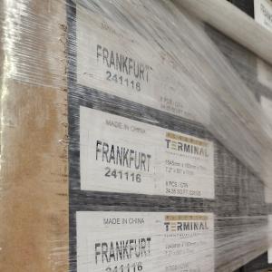 Frankfurt - Terminal alt-1 view