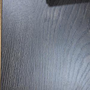 Magma Oak - Studio main view