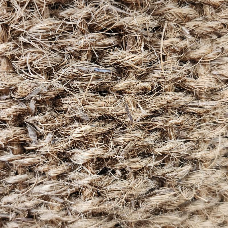 Sisal